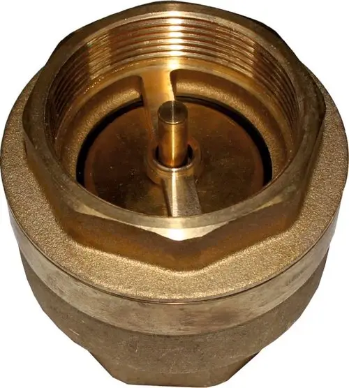 Rückschlagventil aus Messing von Wolf, mit Innengewinde, geeignet für verschiedene Anwendungen im Heizungsbereich. Schnittansicht zeigt die interne Mechanik.